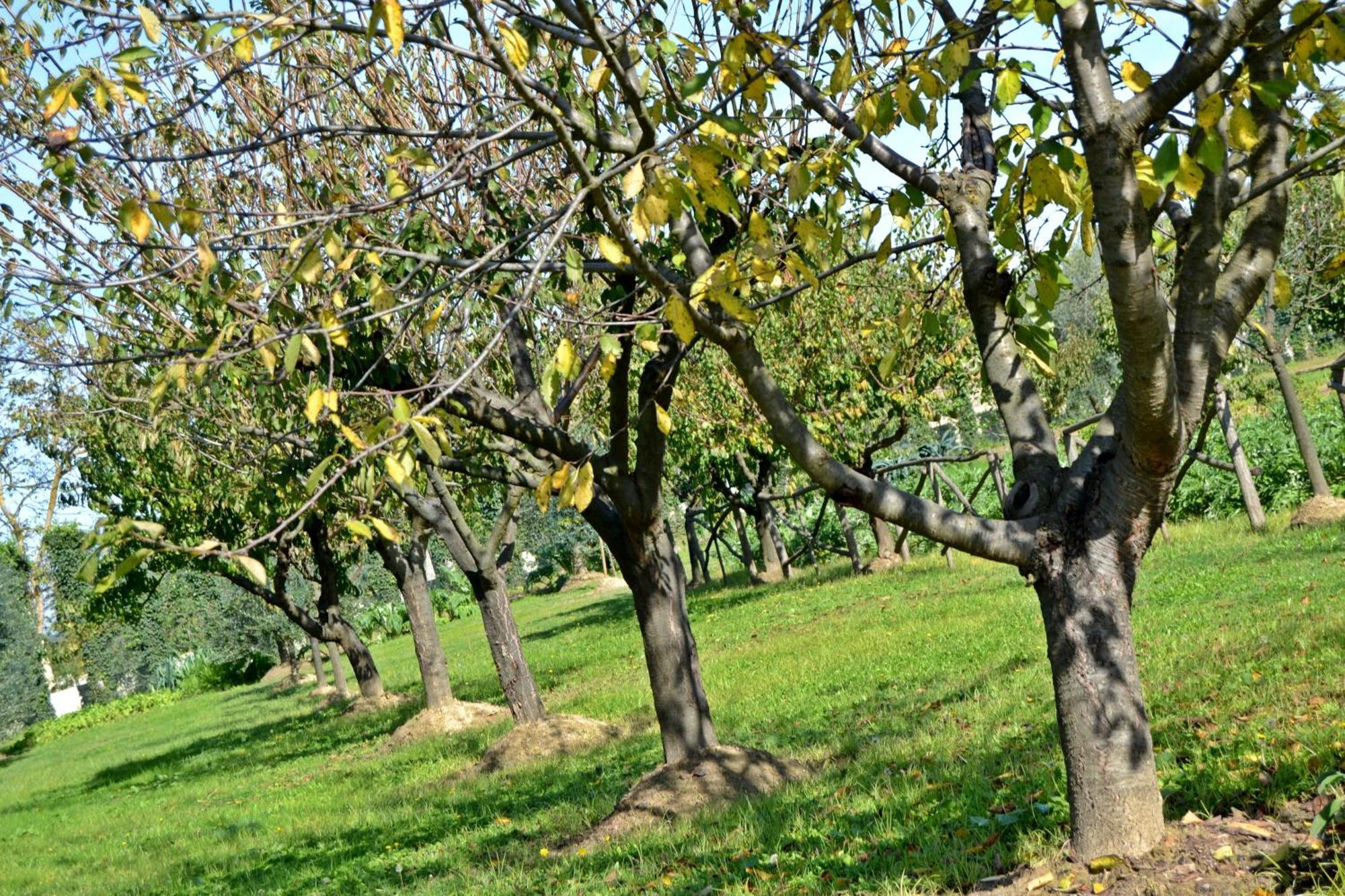 Cevoli Country Resort Lari Exterior foto